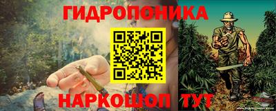 индика Ирбит
