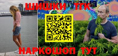 индика Ирбит